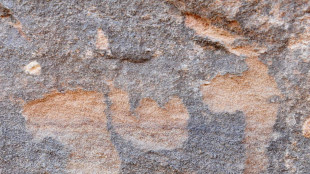 Risale a 67.800 anni fa la pi&ugrave; antica pittura rupestre mai scoperta