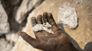 Simbabwe will Export von Lithium weiter einschränken