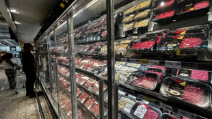 Carne bovina brasileira, pomo da disc&oacute;rdia nas negocia&ccedil;&otilde;es do acordo UE-Mercosul