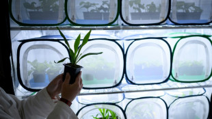 Contre les pucerons de la betterave, pas de pesticides: Agriodor parfume les champs