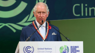 Britischer K&ouml;nig Charles III. reist zur UN-Klimakonferenz nach Dubai