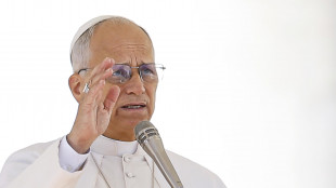 Papa Leone 3 ore con 15 vittime di abusi dal Belgio