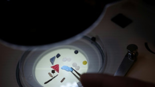 'Alarming' microplastic pollution in Europe's great rivers