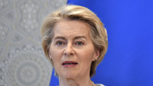 Von der Leyen, 'attacco barbaro, ora imporre la tregua'