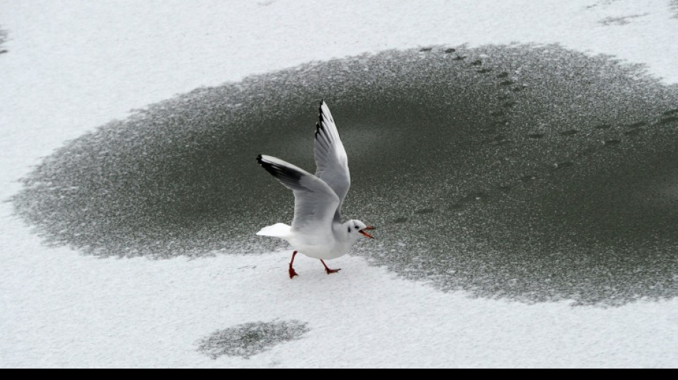 Zwei M&auml;dchen in Stuttgart ins Eis eingebrochen: Mit Unterk&uuml;hlung im Krankenhaus