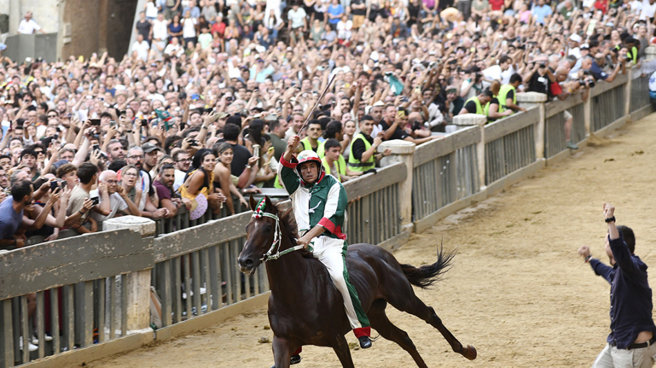 Palio di Siena, vince la contrada dell'Oca