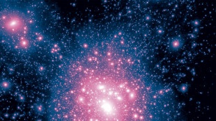 Culle di stelle in galassie bizzarre e bolle di polveri