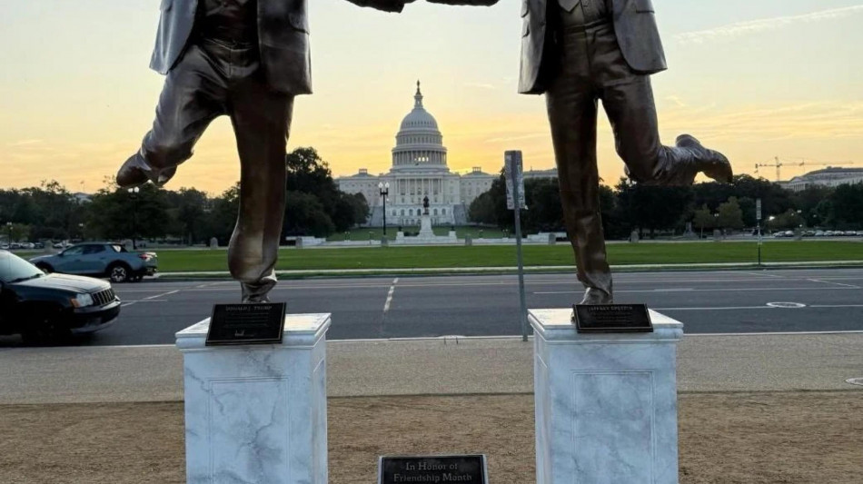 Rimossa anzitempo la statua di Trump e Epstein sul Mall