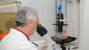 Scoperta strategia di attacco di uno dei batteri pi&ugrave; temuti