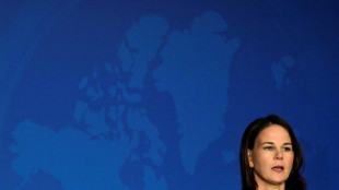 Baerbock verurteilt pro-pal&auml;stinensische Parteinahmen in Klimabewegung