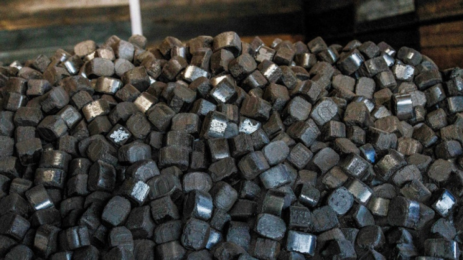 El temor a la escasez de gas en invierno desata la fiebre del carb&oacute;n en Berl&iacute;n