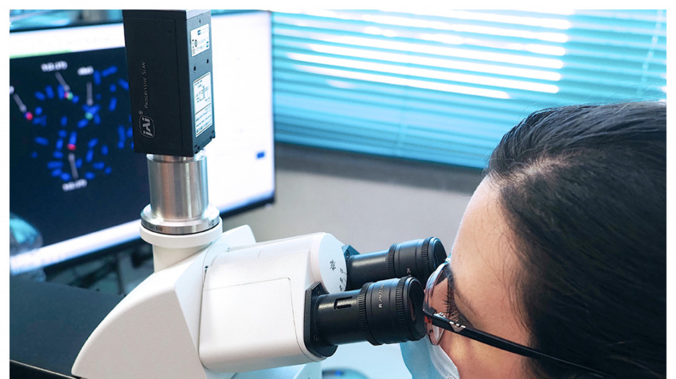 Il sistema immunitario ha un suo orologio,&egrave; pi&ugrave; attivo di giorno