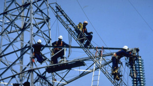 Arera, tariffa elettricit&agrave; per vulnerabili +4,6% nel terzo trimestre