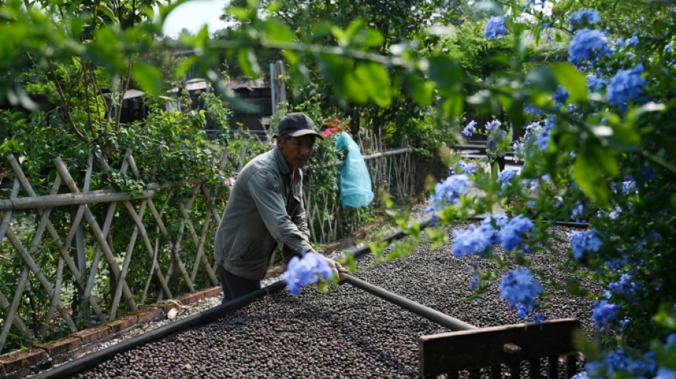 Capital chinesa do ch&aacute; passa a produzir caf&eacute; diante da prefer&ecirc;ncia dos jovens