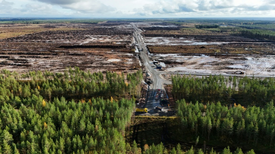 Zona rural da Finl&acirc;ndia se prepara para chegada de 'datar centers' da Google