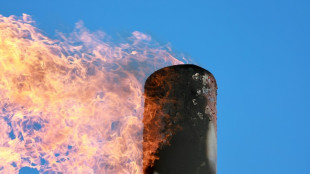 Energieagentur: Methanausstoß im Energiesektor 2024 fast auf Rekordniveau