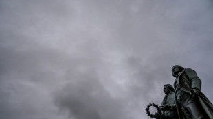 200 Jahre nach Goethes Tod: Forscher finden Ameise in dessen Bernsteinsammlung 