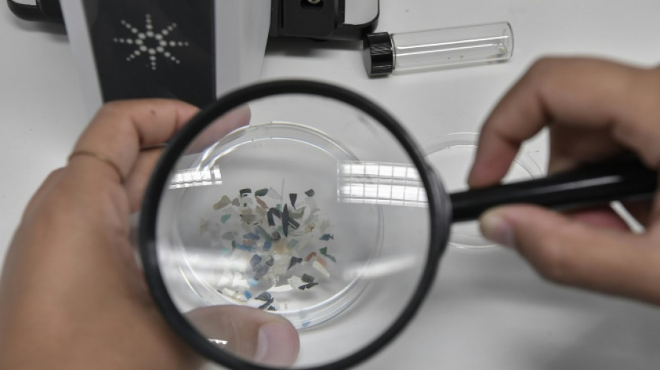 How to assess microplastics in our bodies? Scientists have a plan