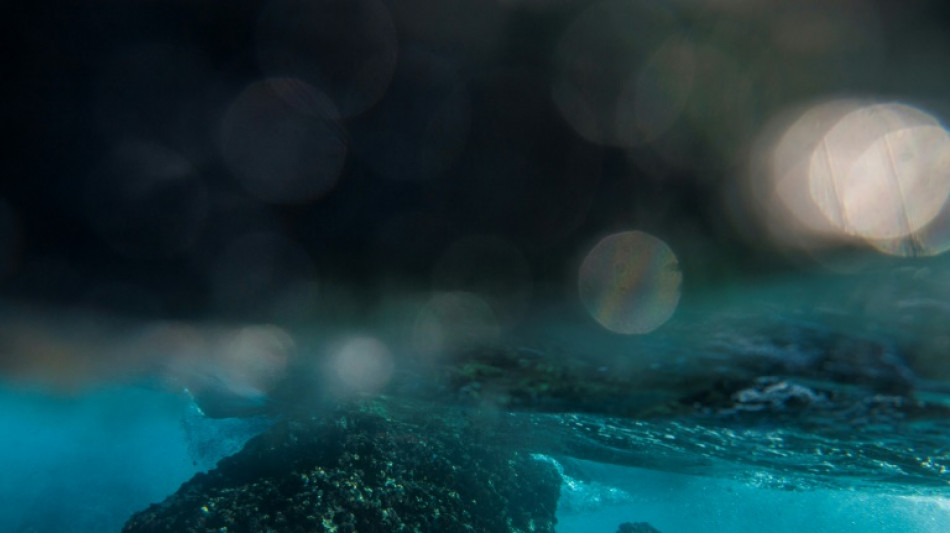 Einschränkung von Tiefseefischerei im Nordostatlantik: Spanische Klage erfolglos