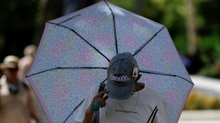 La reciente ola de calor fue la más intensa vivida en España desde que hay registros