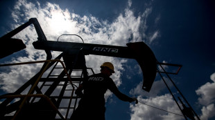 Il petrolio chiude in calo a New York a 66,32 dollari