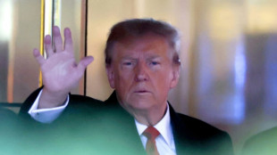 Trump &eacute; acusado de agredir ex-modelo apresentada por Epstein (jornal)