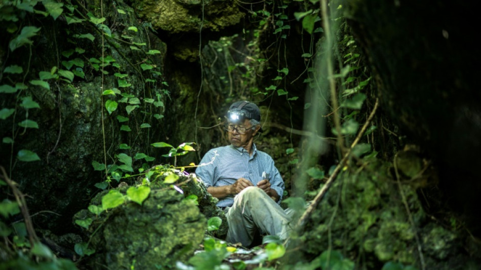 "Jusqu'au dernier": au Japon, des chercheurs d'os sur les traces des morts de la Seconde Guerre mondiale
