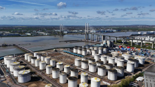 Il petrolio &egrave; in calo a New York a 74,99 dollari