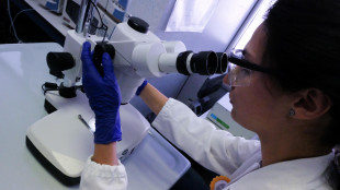 Alzheimer, scoperto il ruolo chiave delle guardiane del cervello