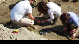 Dalle Prealpi bergamasche riemerge il cranio di un antico rettile marino corazzato