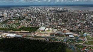 La COP brésilienne promettra moins et agira plus, dit son président à l'AFP