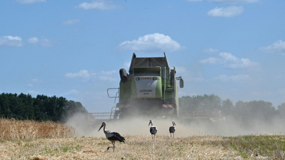 EU und Ukraine einigen sich auf Handelsabkommen für Agrarprodukte