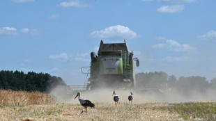 EU und Ukraine einigen sich auf Handelsabkommen für Agrarprodukte