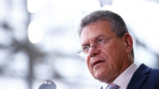 EU-Handelskommissar Sefcovic für Zoll-Verhandlungen in Washington