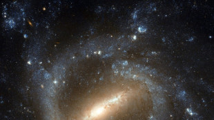 Découverte d'une galaxie remarquable dans l'Univers jeune