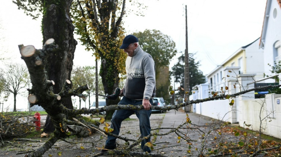 Frau stirbt durch umgest&uuml;rzten Baum bei schwerem Sturm im Harz