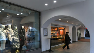 Weiter Aufwärtstrend bei Verbraucherstimmung - Einkommenserwartung aber negativer