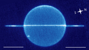 &Egrave; a rischio lo status di giganti ghiacciati per Urano e Nettuno