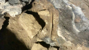 Descoberto na Austr&aacute;lia rastro de ritual abor&iacute;gine de 12 mil anos