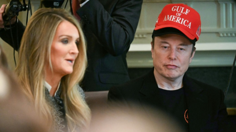 Trump sichert Musk Verbleib als Berater im Weißen Haus zu