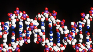 Non solo doppia elica, dai nodi del Dna la strada per nuove terapie