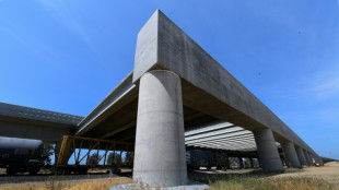 California demanda a la administraci&oacute;n Trump por cancelar fondos al tren de alta velocidad