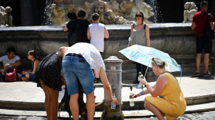 48,8 Grad: Europa hat neuen wissenschaftlich best&auml;tigten Temperaturrekord