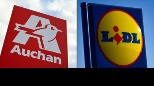 Auchan en passe de c&eacute;der 17 supermarch&eacute;s &agrave; Lidl
