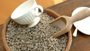 A selezionare il caff&egrave; arabica fu la natura, non l'uomo