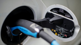 Autovermieter Sixt wirft Regierung Inkonsequenz bei Elektromobilit&auml;t vor