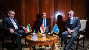 Iran riprende il dialogo con l'Aiea sul nucleare