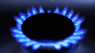 In leggero rialzo l'indice italiano del gas