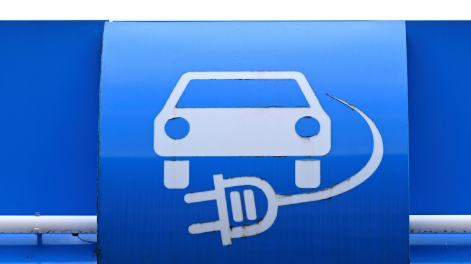 E-Autos: Deutsche Konzerne bei Neuzulassungen vorn - Boom bleibt aber aus
