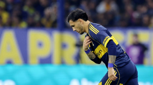 El mercado de pases del f&uacute;tbol argentino vive una nueva primavera